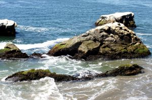 ws water - 14.jpg